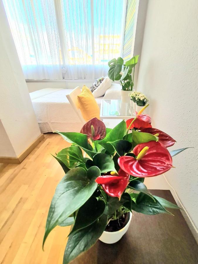 Aa Guest - El Mono De Torre Del Mar Eco Apartment Zewnętrze zdjęcie